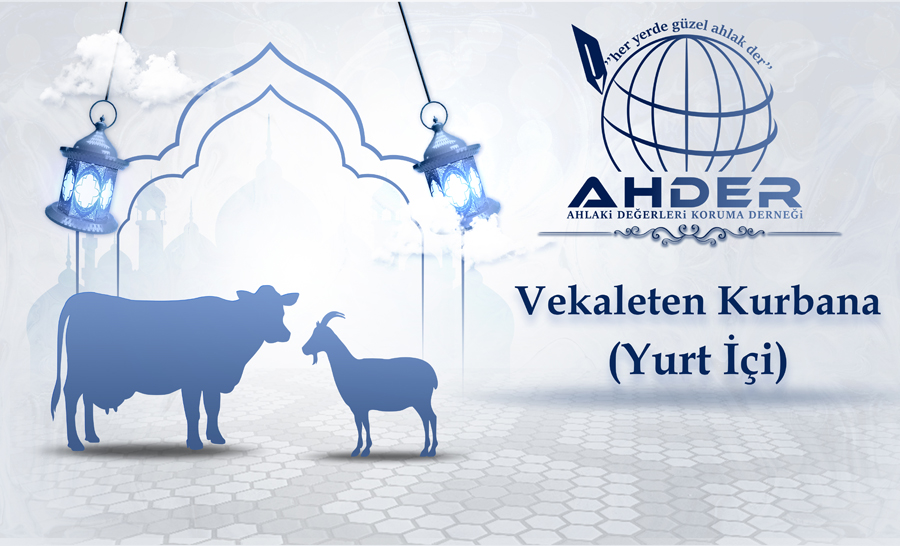 YURT İÇİ KURBAN (BÜYÜK BAŞ)