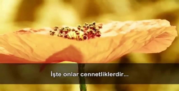 HAFIZLIĞIN ÖNEMİ